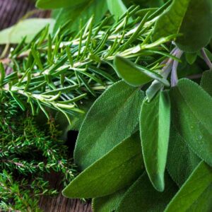 Fresh Herb Vinegar Recipe